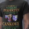 Nisem Perfekten, Ampak Sem Iz Cankove In To Je Skoraj Ista Stvar