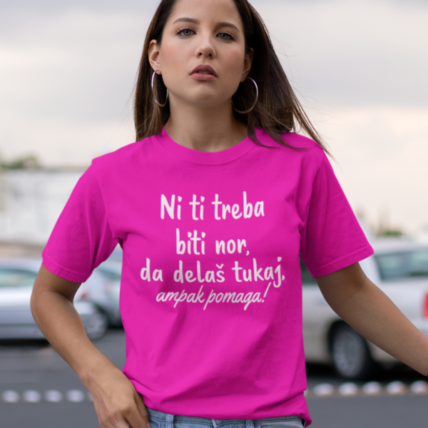 Ni Ti Treba Biti Nor, Da Delaš Tukaj